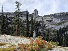 Chimney Rock rising above evergreen forest in Idaho's Selkirk Mountains.