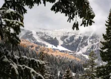 Early snow over golden larches on the ski slopes at Schweitzer Mountain Resort.